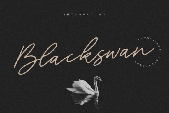 Blackswan: A Handwritten Font for Modern Web Design
