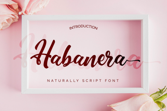 Habanera: A Handwritten Font That Breathes Life Into Your Designs