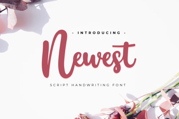 How Newest Font Elevated My Campaign Design