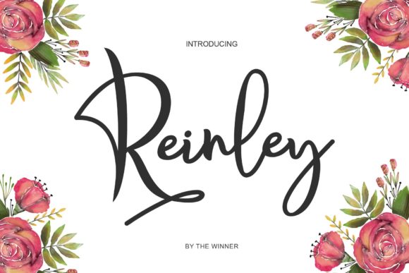 Reinley: A Delicate Font for Modern Editorial Design