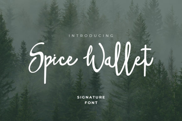 Spice Wallet: A Handwritten Font for Branding That Feels Personal