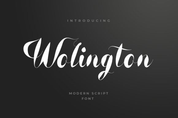 Wolington Font in Real Branding: A Designer's Journey